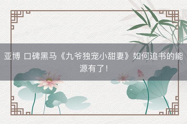 亚博 口碑黑马《九爷独宠小甜妻》如何追书的能源有了!