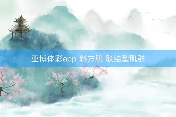 亚博体彩app 斜方肌 联结型肌群