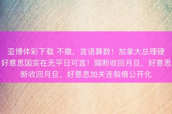 亚博体彩下载 不撤，言语算数！加拿大总理硬刚好意思国：本日好意思国实在无平日可言！隔断收回月旦，好意思加关连裂痕公开化