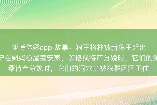 亚博体彩app 故事:狼王格林被新狼王赶出族群,伴侣格桑陪它守在姆妈板屋旁安家,等格桑待产分娩时,它们的洞穴竟被狼群团团围住