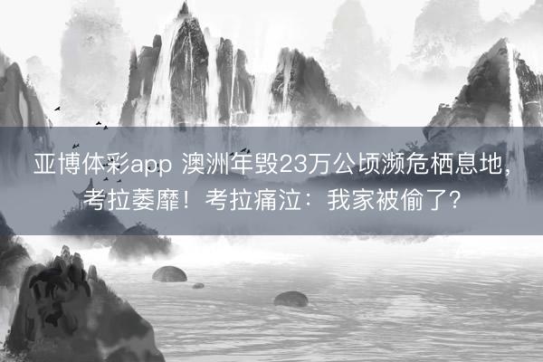 亚博体彩app 澳洲年毁23万公顷濒危栖息地,考拉萎靡!考拉痛泣:我家被偷了?
