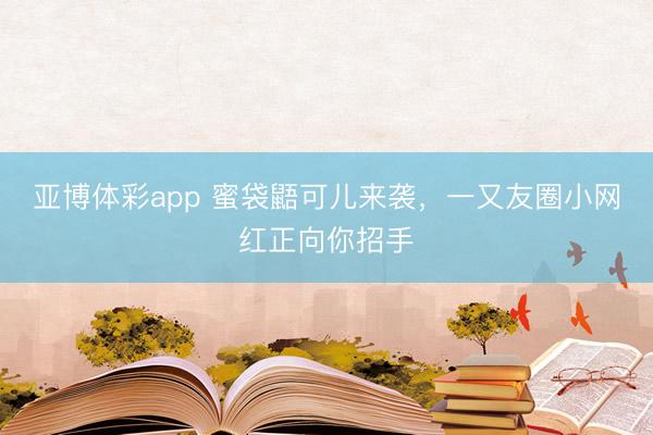 亚博体彩app 蜜袋鼯可儿来袭,一又友圈小网红正向你招手
