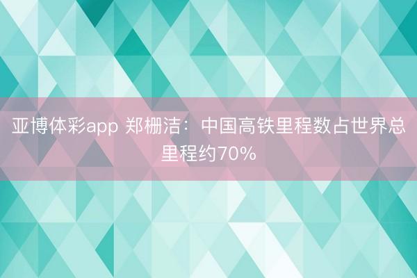 亚博体彩app 郑栅洁：中国高铁里程数占世界总里程约70%