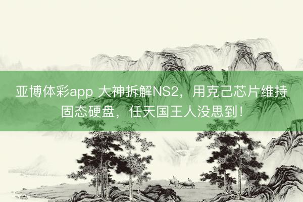 亚博体彩app 大神拆解NS2,用克己芯片维持固态硬盘,任天国王人没思到!