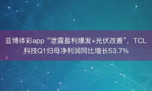 亚博体彩app “泄露盈利爆发+光伏改善”，TCL科技Q1归母净利润同比增长53.7%